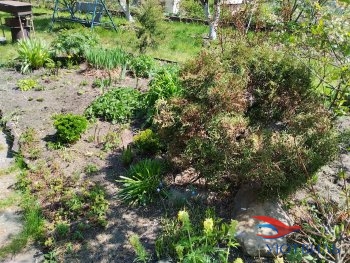 Продается отличный дом в прекрасном месте в Верхней Пышме - verhnyaya-pyshma.yutvil.ru - фото 34
