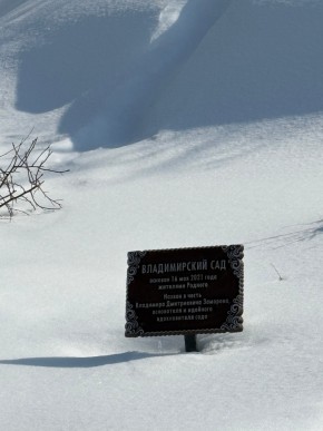 ДП Родной в Верхней Пышме - verhnyaya-pyshma.yutvil.ru - фото 11