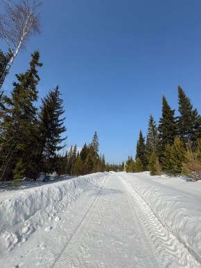 ДП Родной в Верхней Пышме - verhnyaya-pyshma.yutvil.ru - фото 7