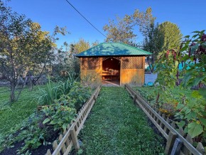 Екатеренбург сад Торгмаш, СНТ  Садовод, уч. 52 в Верхней Пышме - verhnyaya-pyshma.yutvil.ru - фото 10