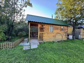 Екатеренбург сад Торгмаш, СНТ  Садовод, уч. 52 в Верхней Пышме - verhnyaya-pyshma.yutvil.ru - фото 12