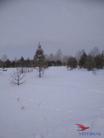 Земельный участок поселок Баженово в Верхней Пышме - verhnyaya-pyshma.yutvil.ru - фото 5