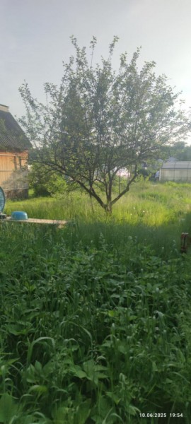 г Верхняя пышма, СНТ Мираж, уч.№ 99 в Верхней Пышме - verhnyaya-pyshma.yutvil.ru - фото 19