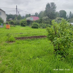 г Верхняя пышма, СНТ Мираж, уч.№ 99 в Верхней Пышме - verhnyaya-pyshma.yutvil.ru - фото 8