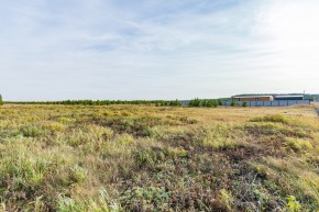 Российская Федерация, Свердловская область, Сысертский городской округ, территория садоводческого некоммерческого товарищества Бобровские дачи, улица Каштановая, земельный участок № 38 в Верхней Пышме - verhnyaya-pyshma.yutvil.ru - фото 24