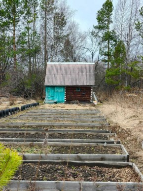 СНТ Родники в Верхней Пышме - verhnyaya-pyshma.yutvil.ru - фото 7 СНТ Родники в Верхней Пышме - verhnyaya-pyshma.yutvil.ru - фото 7