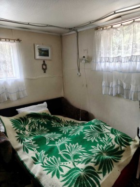 СНТ Родники в Верхней Пышме - verhnyaya-pyshma.yutvil.ru - фото 10 СНТ Родники в Верхней Пышме - verhnyaya-pyshma.yutvil.ru - фото 10