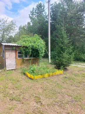 СНТ Родники в Верхней Пышме - verhnyaya-pyshma.yutvil.ru - фото 1