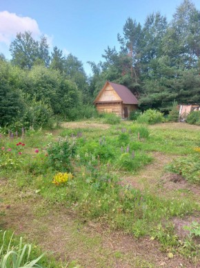 СНТ Родники в Верхней Пышме - verhnyaya-pyshma.yutvil.ru - фото 2