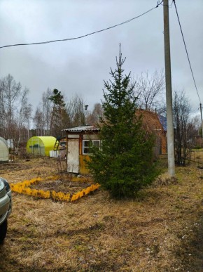СНТ Родники в Верхней Пышме - verhnyaya-pyshma.yutvil.ru - фото 5 СНТ Родники в Верхней Пышме - verhnyaya-pyshma.yutvil.ru - фото 5