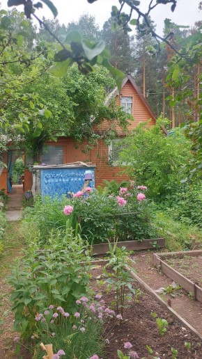 СНТ Садовод-24 в Верхней Пышме - verhnyaya-pyshma.yutvil.ru
