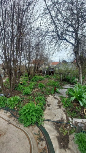 СНТ Сирень, уч. 38 в Верхней Пышме - verhnyaya-pyshma.yutvil.ru - фото 7