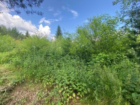 СПК Юбилейный, уч. 9 в Верхней Пышме - verhnyaya-pyshma.yutvil.ru - фото 7