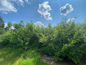 СПК Юбилейный, уч. 9 в Верхней Пышме - verhnyaya-pyshma.yutvil.ru - фото 9