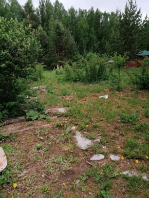 СТН Семья №112, Верхняя пышма на землях бывшего подсобного хозяйтва верхнепышминского опытного завода в Верхней Пышме - verhnyaya-pyshma.yutvil.ru - фото 17 СТН Семья №112, Верхняя пышма на землях бывшего подсобного хозяйтва верхнепышминского опытного завода в Верхней Пышме - verhnyaya-pyshma.yutvil.ru - фото 17