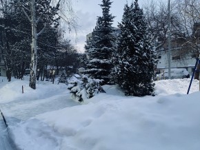 ул. 8 Марта,7 в Верхней Пышме - verhnyaya-pyshma.yutvil.ru - фото 20 ул. 8 Марта,7 в Верхней Пышме - verhnyaya-pyshma.yutvil.ru - фото 20