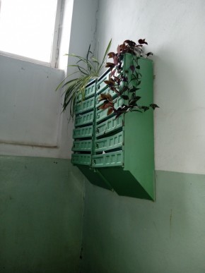 ул. Бажова,11 в Верхней Пышме - verhnyaya-pyshma.yutvil.ru - фото 2 ул. Бажова,11 в Верхней Пышме - verhnyaya-pyshma.yutvil.ru - фото 2