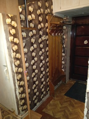 ул. Бажова,11 в Верхней Пышме - verhnyaya-pyshma.yutvil.ru - фото 9 ул. Бажова,11 в Верхней Пышме - verhnyaya-pyshma.yutvil.ru - фото 9