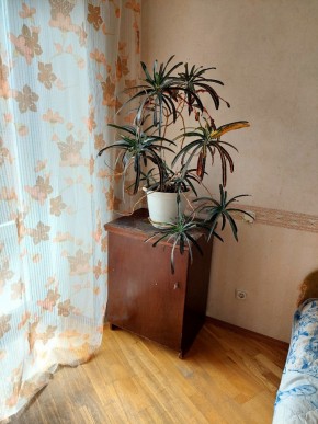 ул. Индустрии,29 в Верхней Пышме - verhnyaya-pyshma.yutvil.ru - фото 3 ул. Индустрии,29 в Верхней Пышме - verhnyaya-pyshma.yutvil.ru - фото 3