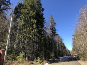 ул. Калиновая,9 в Верхней Пышме - verhnyaya-pyshma.yutvil.ru - фото 4 ул. Калиновая,9 в Верхней Пышме - verhnyaya-pyshma.yutvil.ru - фото 4