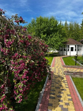 ул. Первомайская,220 в Верхней Пышме - verhnyaya-pyshma.yutvil.ru - фото 2