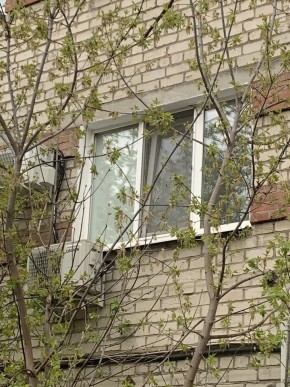 ул. Таганская,8 в Верхней Пышме - verhnyaya-pyshma.yutvil.ru - фото 14