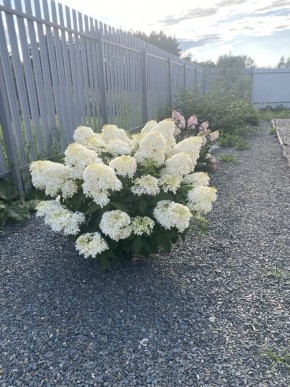 ул. Весенняя,12 в Верхней Пышме - verhnyaya-pyshma.yutvil.ru - фото 20