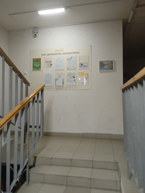 ул. Высокая,7 в Верхней Пышме - verhnyaya-pyshma.yutvil.ru - фото 8 ул. Высокая,7 в Верхней Пышме - verhnyaya-pyshma.yutvil.ru - фото 8